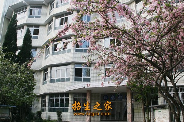 校园风景