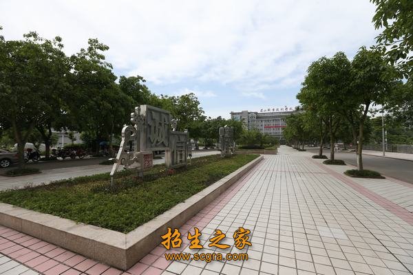 学校