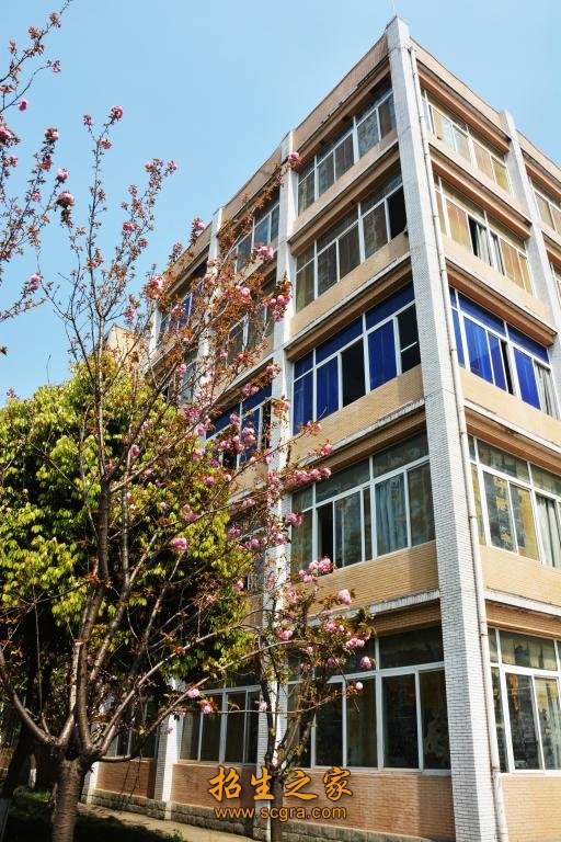 学校环境