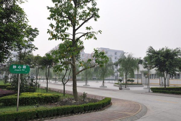 成都民办的职业技术院校，成都民办的职业技术院校排名