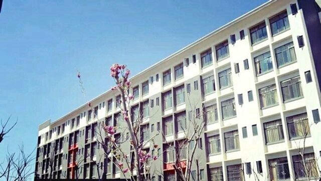 云南城市建设职业学院汽车服务与营销专业招生