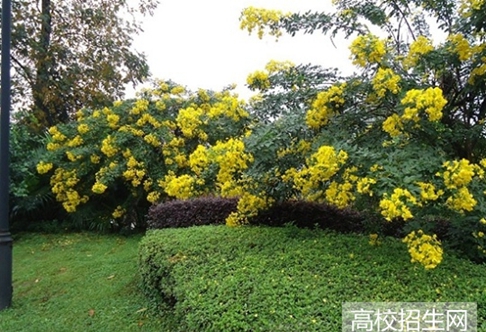 四川工业科技学院汽车服务工程专业
