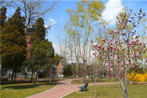 校园一角 校园一角