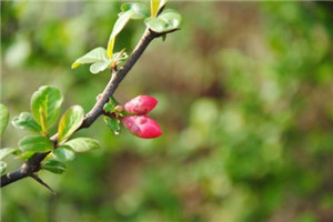 校园一角 校园一角