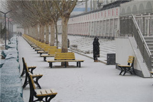 校园一角 校园一角