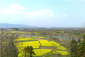 校园一角 校园一角