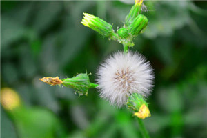 校园一角 校园一角