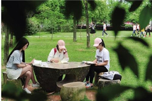 校园一角 校园一角