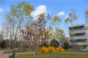 校园一角 校园一角