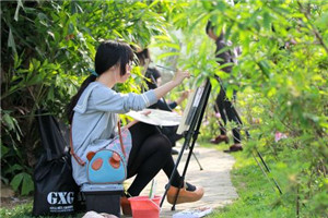 校园一角 校园一角