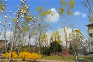 校园一角 校园一角