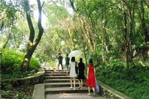 校园一角 校园一角