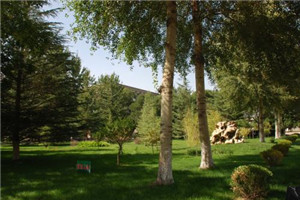 校园一角 校园一角