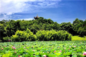 校园一角 校园一角