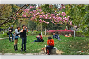 校园一角 校园一角