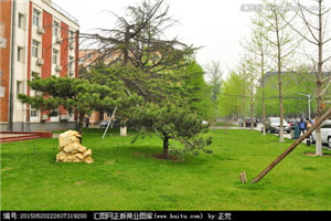 校园一角 校园一角